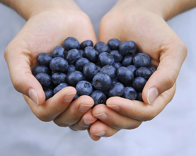 nutriplan2
